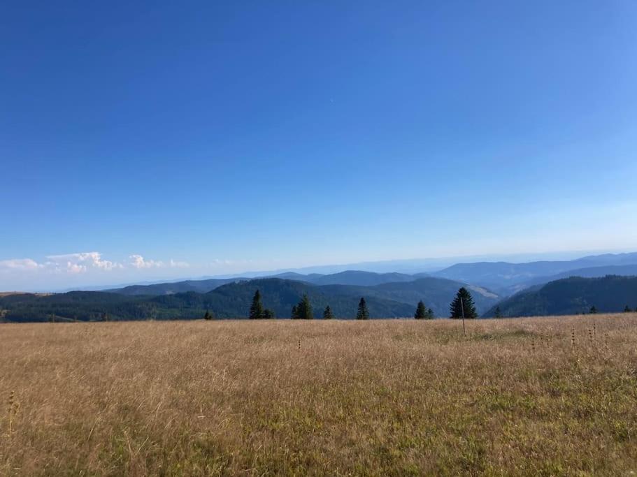 Feldberg Apartment - Direkt An Der Skipiste - Mit Sauna Exteriér fotografie