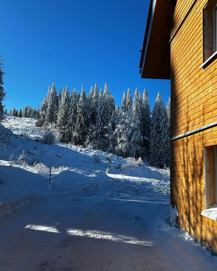 Feldberg Apartment - Direkt An Der Skipiste - Mit Sauna Exteriér fotografie