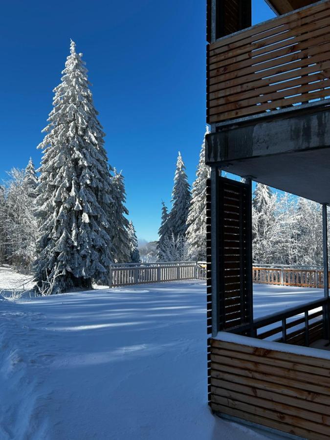 Feldberg Apartment - Direkt An Der Skipiste - Mit Sauna Exteriér fotografie