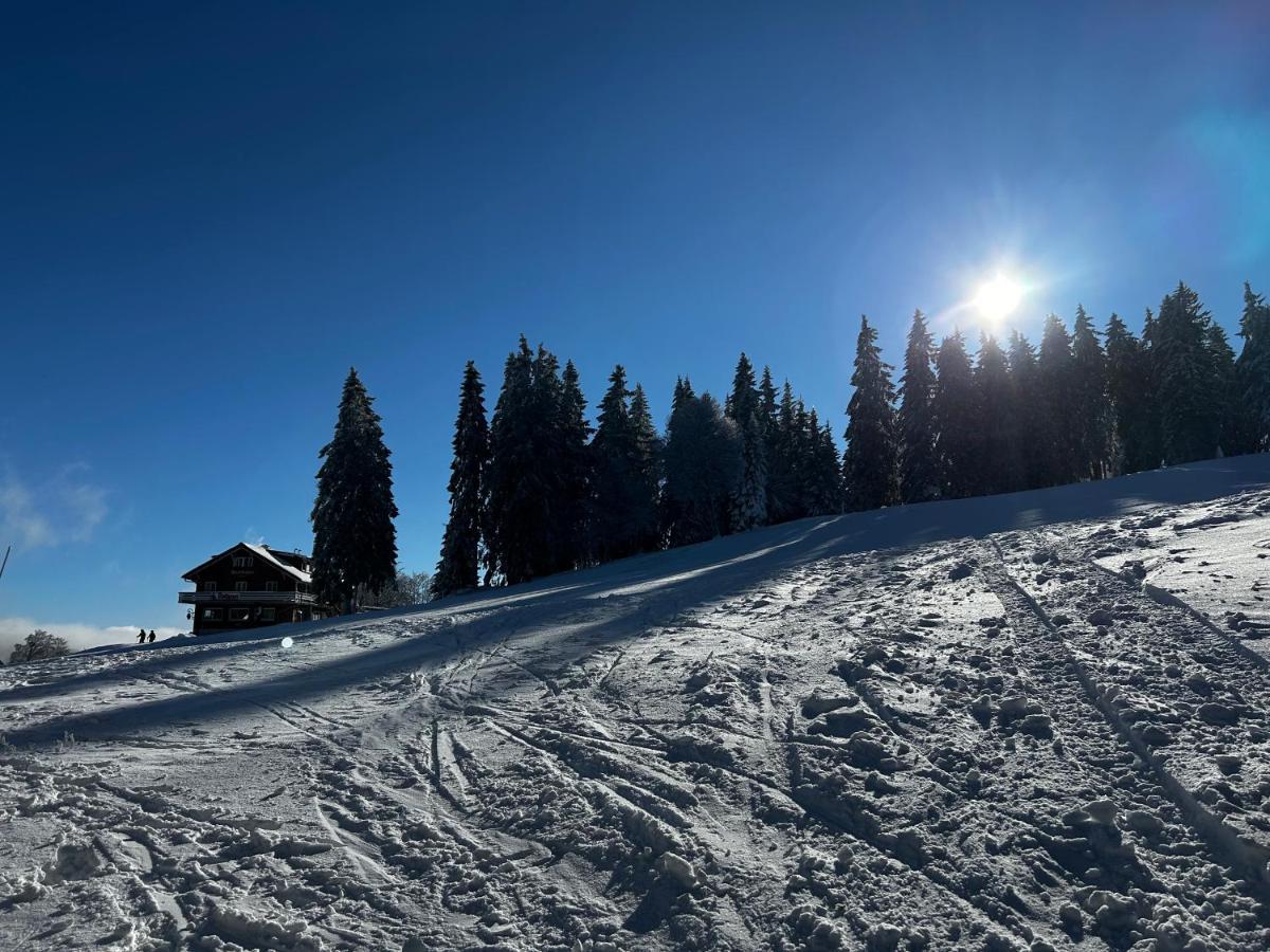 Feldberg Apartment - Direkt An Der Skipiste - Mit Sauna Exteriér fotografie