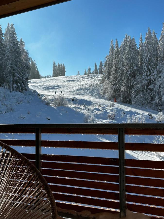 Feldberg Apartment - Direkt An Der Skipiste - Mit Sauna Exteriér fotografie